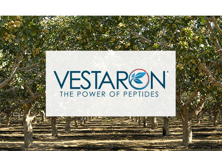 Vestaron-Roth-tile