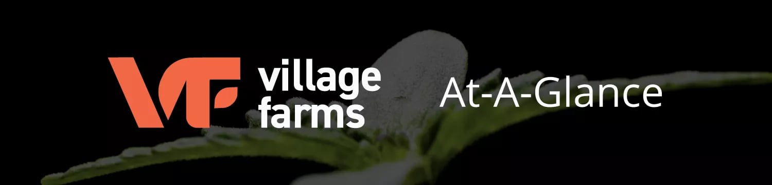Village-Farms-Summary-B2i-Digital