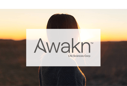 awakn-tile-b2i digital marketing