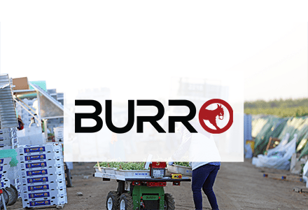 burro-Roth-tile