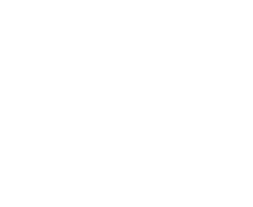 Bioceres Crop Solutions Corp (BIOX) logo white