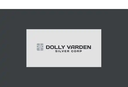 Dolly Varden Silver Corp. (TSXV DV)