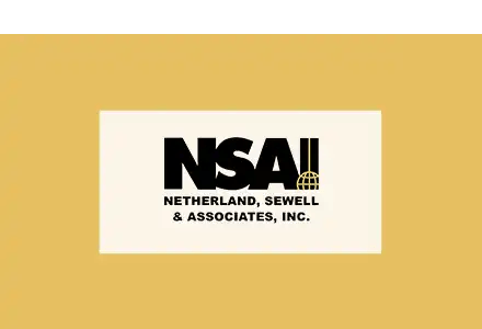 Netherland, Sewell & Associates, Inc. (PRIVATE)