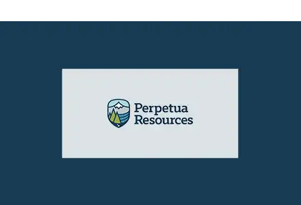 Perpetua Resources Corp. (PPTA)