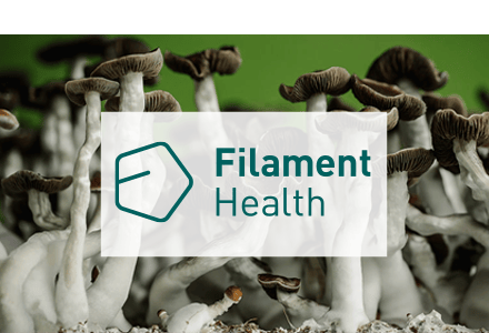 filament-Roth-tile-b2i