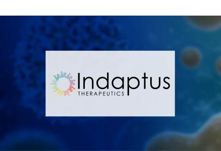 indaptus-Roth-tile-b2i