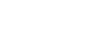 safe-t-logo-white
