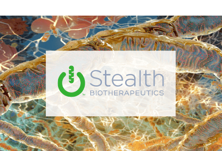 stealth-Roth-tile-b2i