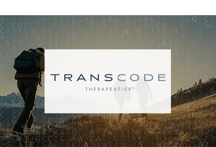 transcode-sidoti-tile