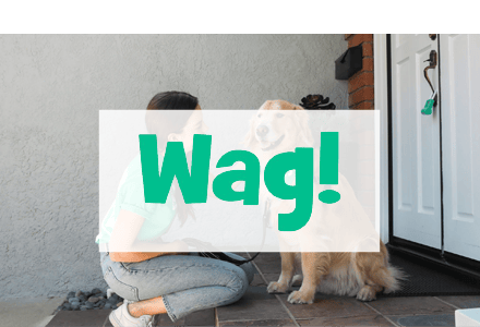 wag-Roth-tile-b2i