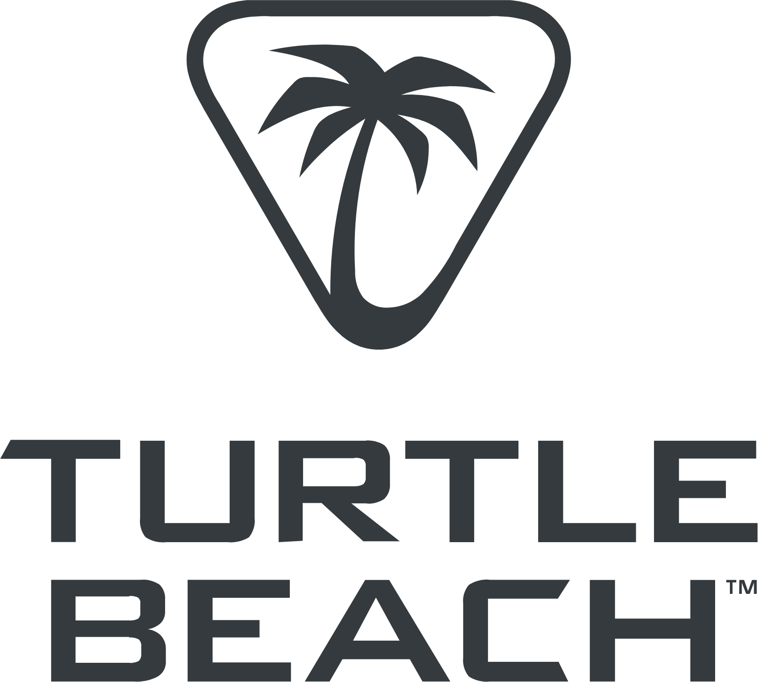 Turtle Beach Corporation (NASDAQ:TBCH)