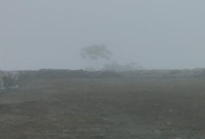 BacTech Environmental Corporation bg