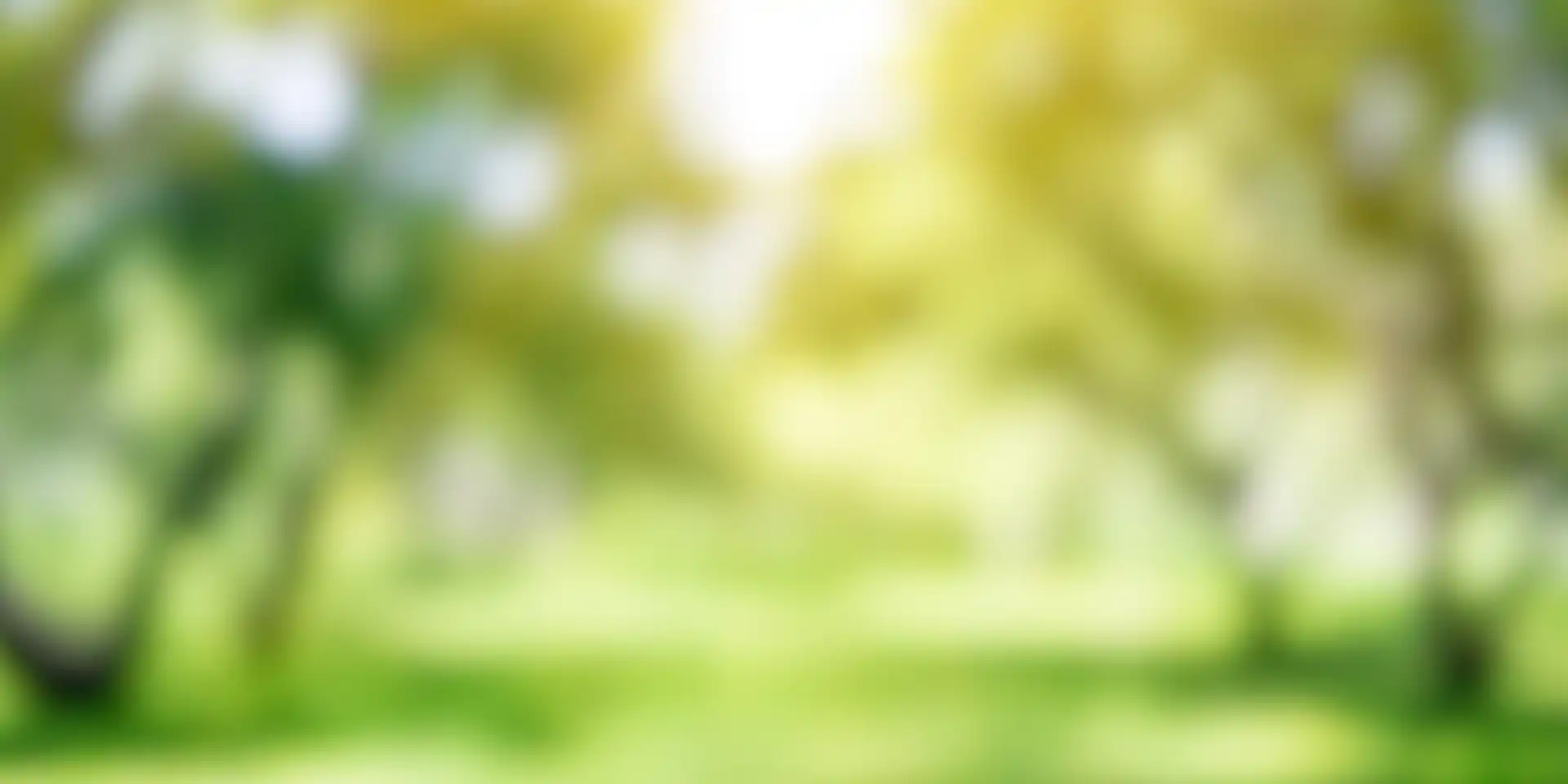 Ameresco, Inc. (AMRC)