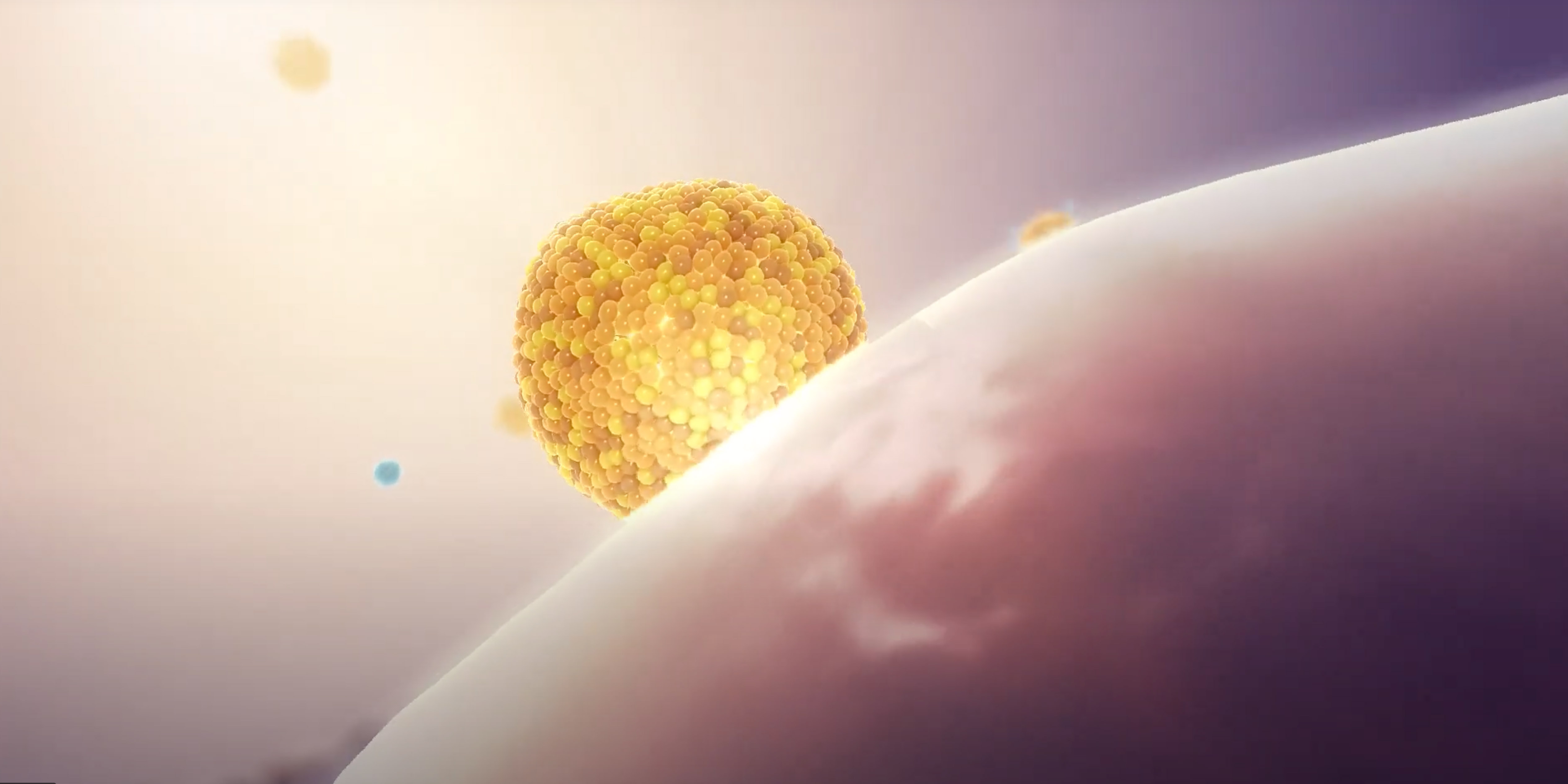 Arcturus Therapeutics Holdings Inc. (ARCT)