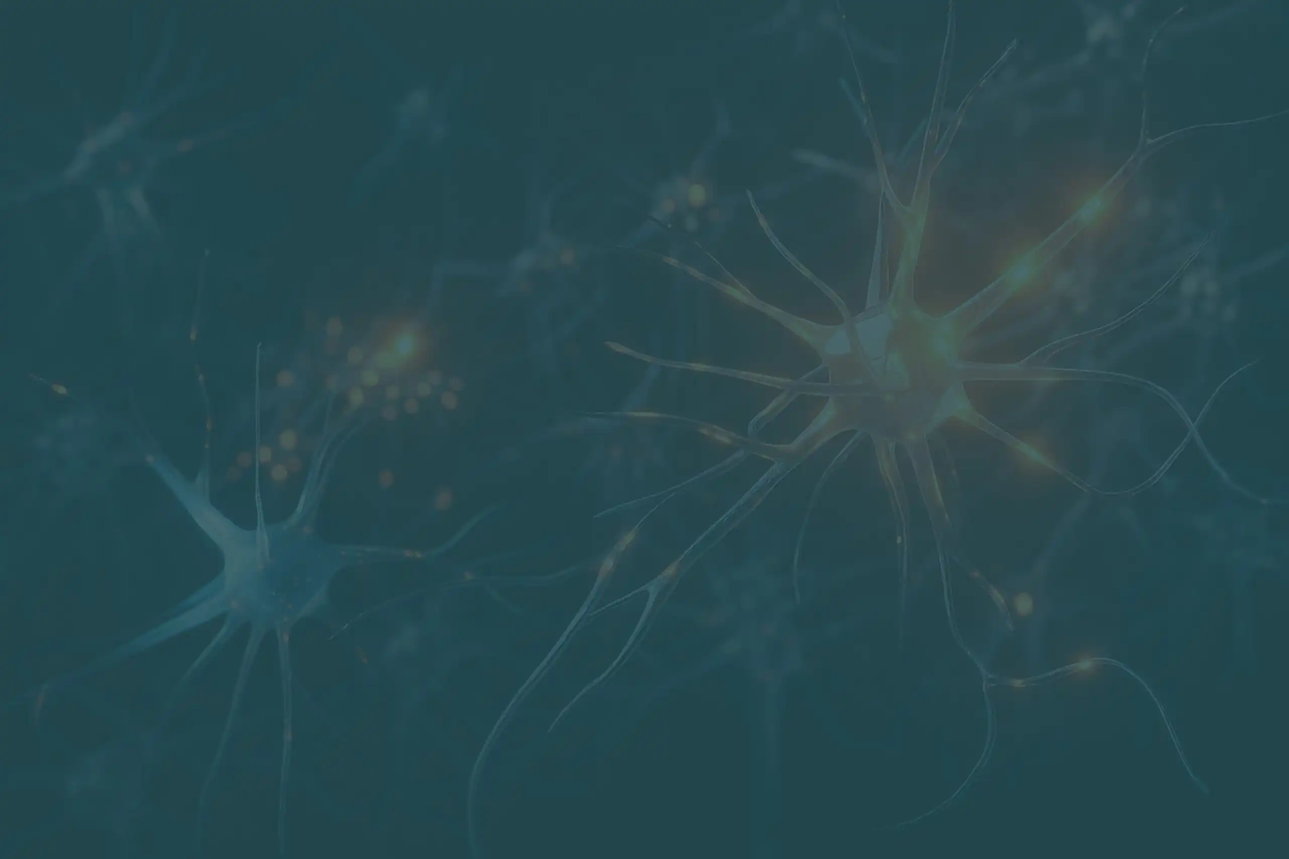 Autonomix Medical, Inc. (AMIX) image