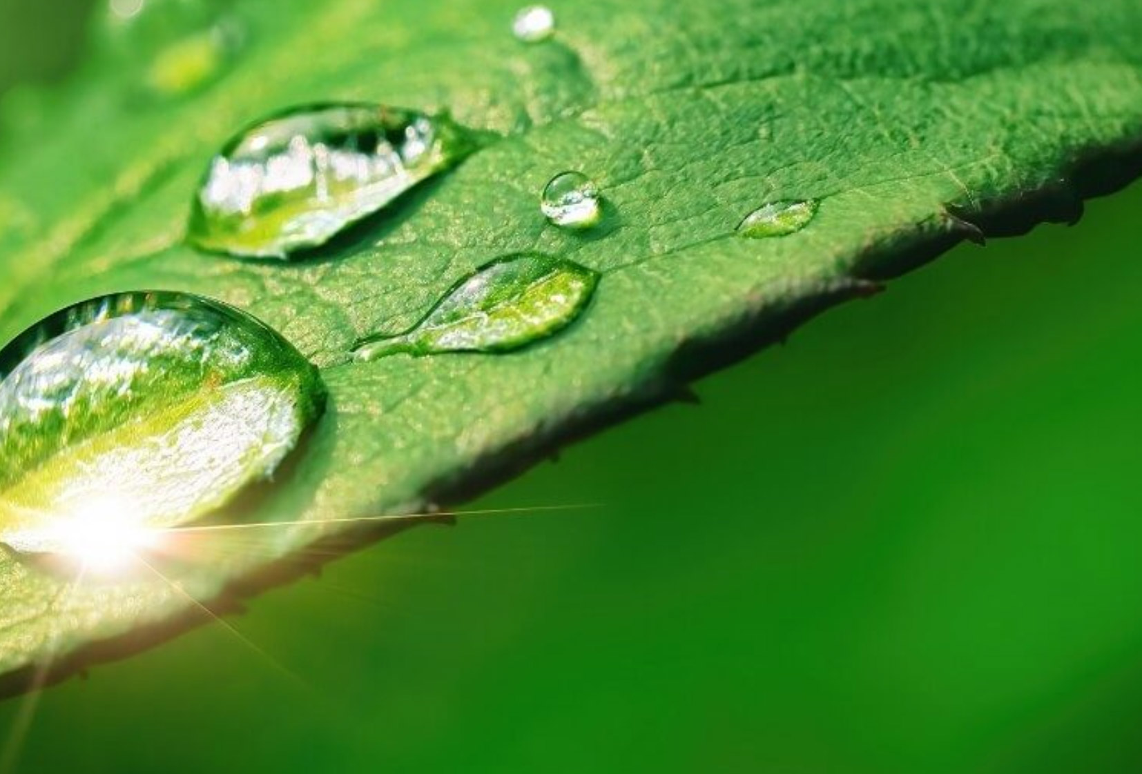 CVW Sustainable Royalties Inc. (TSXV:CVW)