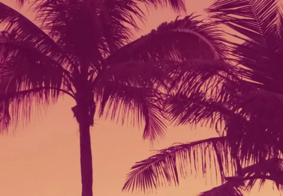 Charlie's Holdings, Inc. (CHUC)