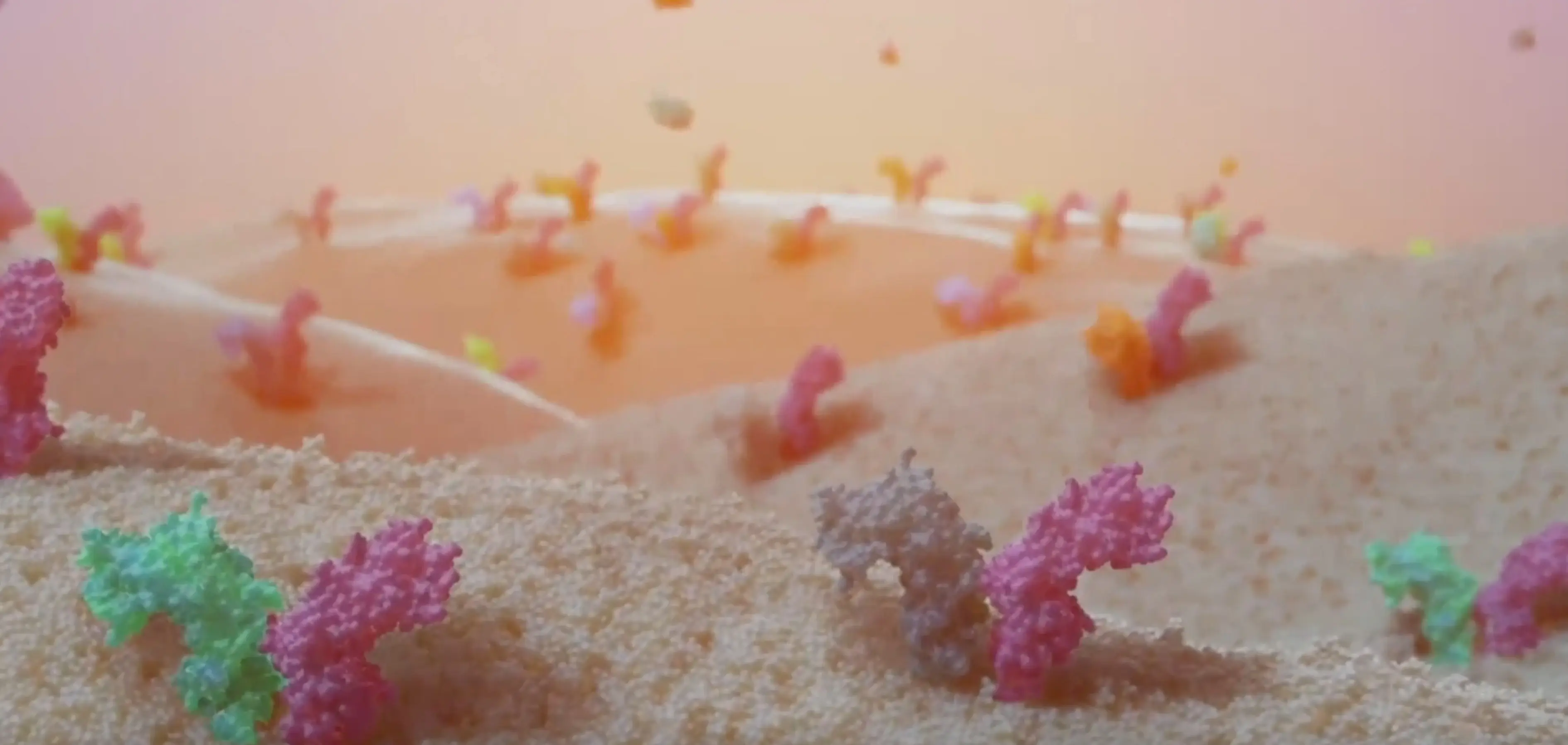 Equillium, Inc. (EQ)