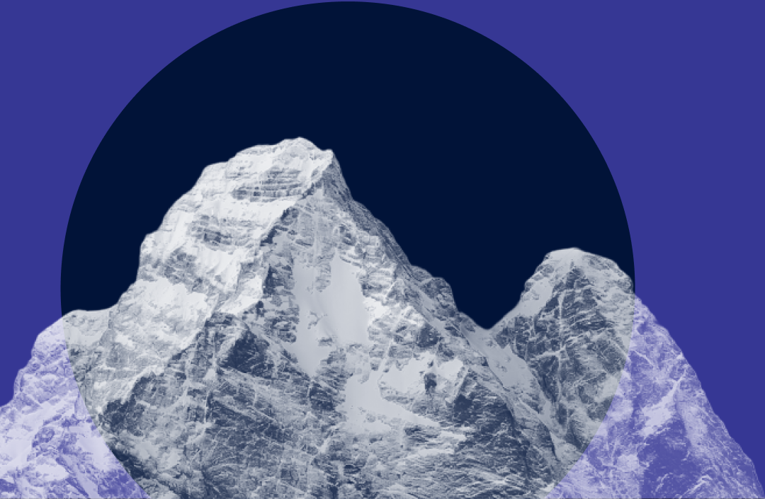 Everest Advisors image