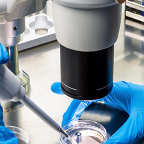 GT Biopharma, Inc. (GTBP)