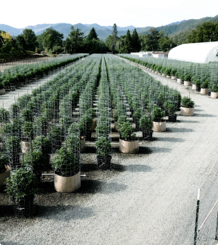 GrowGeneration Corp (GRWG)