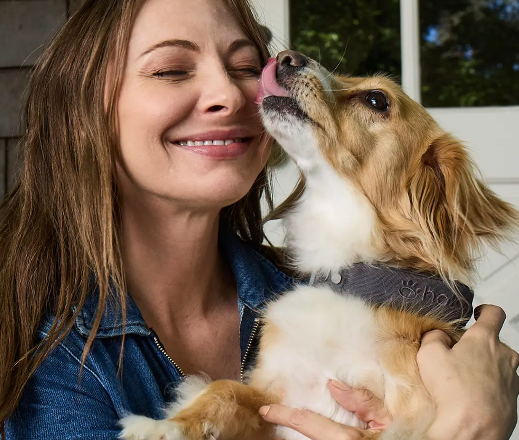 Halo Collar (PRIVATE)