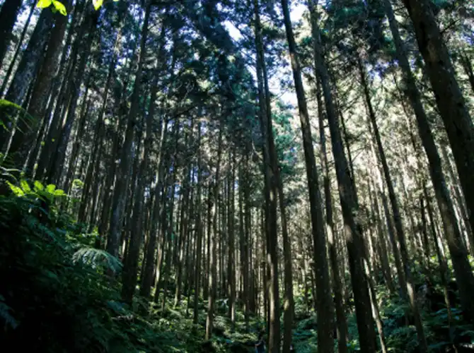 OBOOK Holdings Inc (OWLS) image