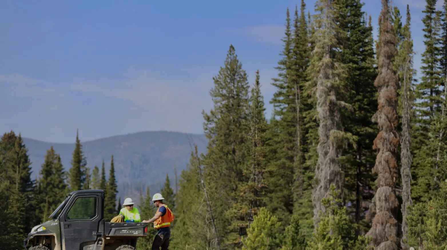 Perpetua Resources Corp. (PPTA)