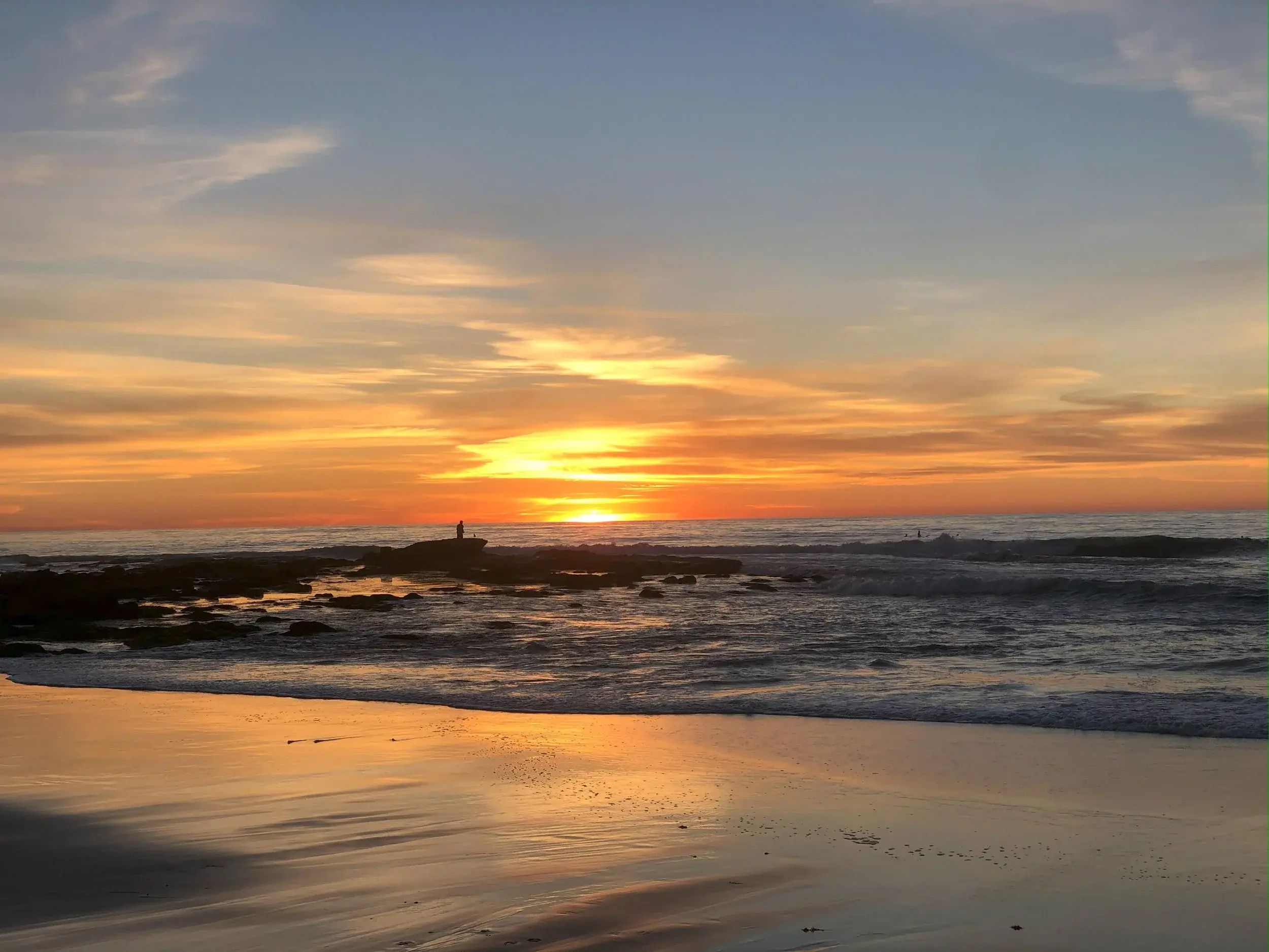 Revelation Biosciences, Inc. (REVB) BG