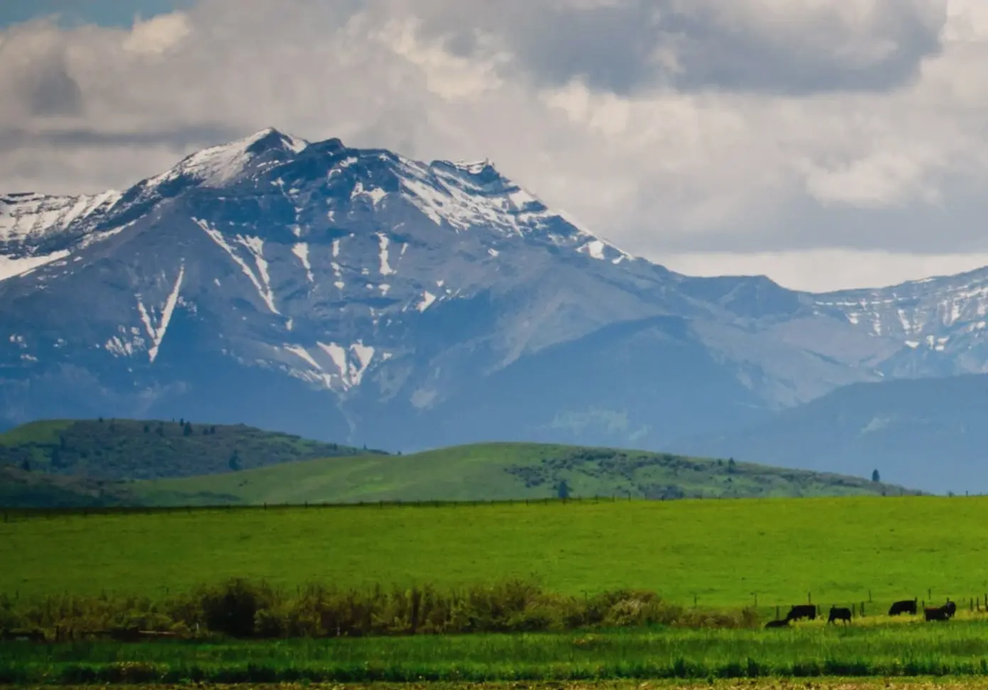 Spartan Delta Corp (TSX:SDE)