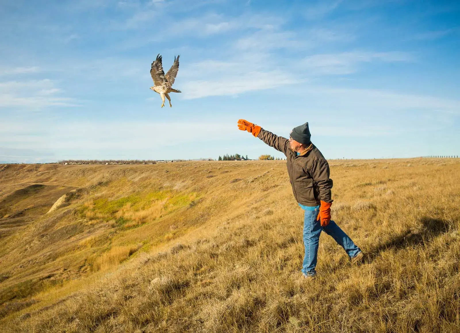 Tamarack Valley Energy Ltd. (TSX:TVE)