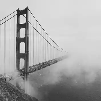 The Blueshirt Group image