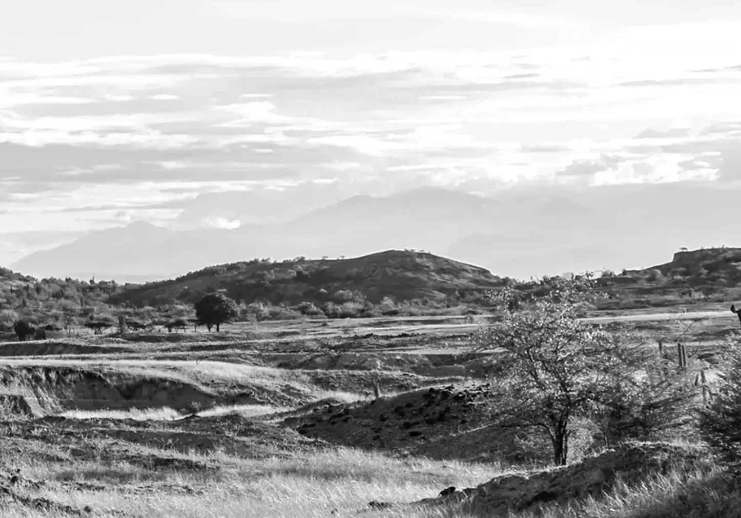 Tiger Gold Corp (TSXV:TIGR)