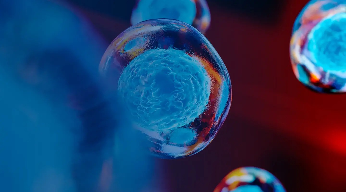 baker-mckenzie-header