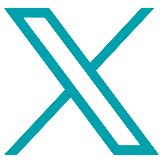 X-icon