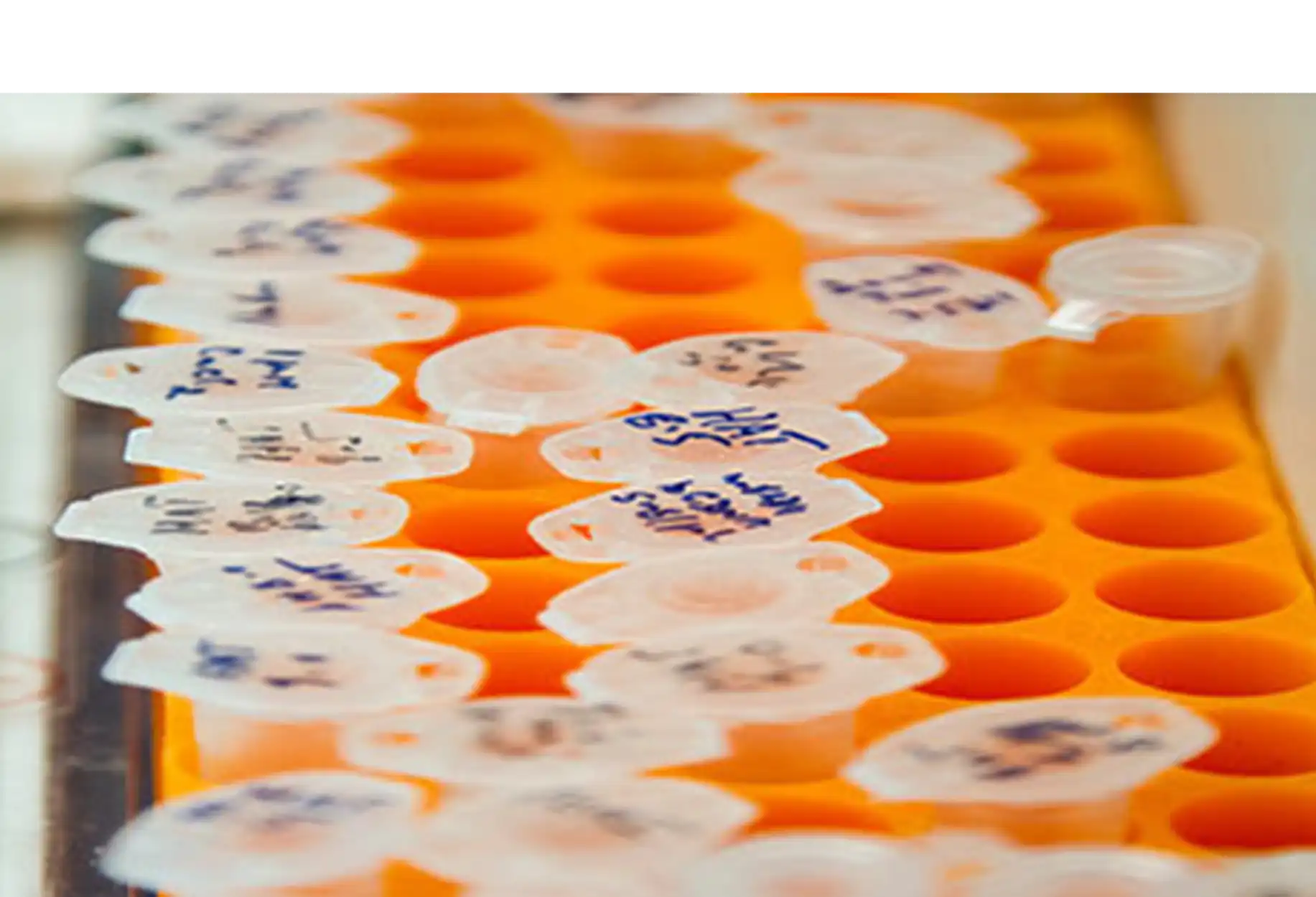 B2i Digital Featured Company_Allarity Therapeutics Inc_Nasdaq ALLR_Drug Response Predictor