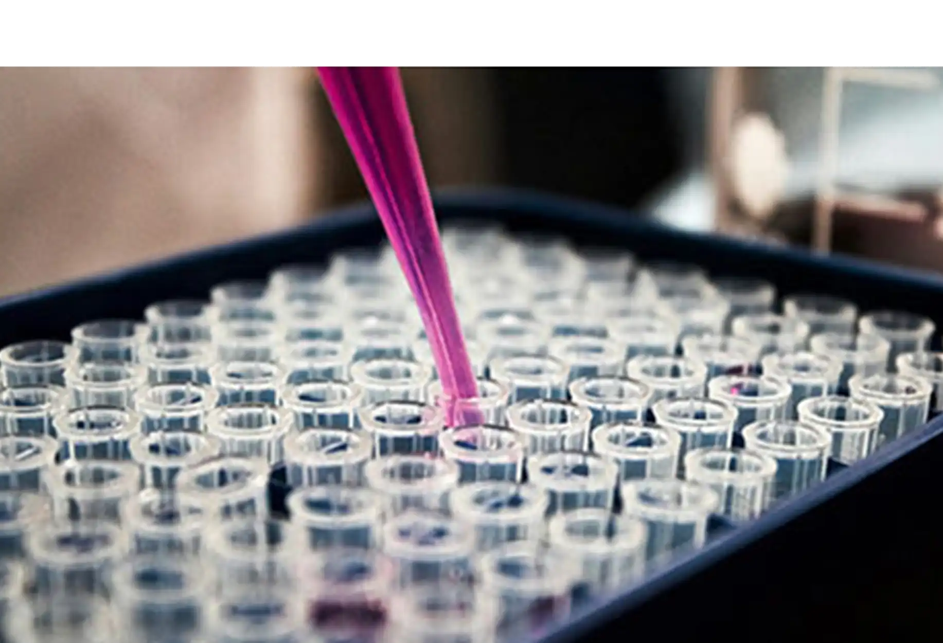 B2i Digital Featured Company_Allarity Therapeutics Inc_Nasdaq ALLR_Global Presence