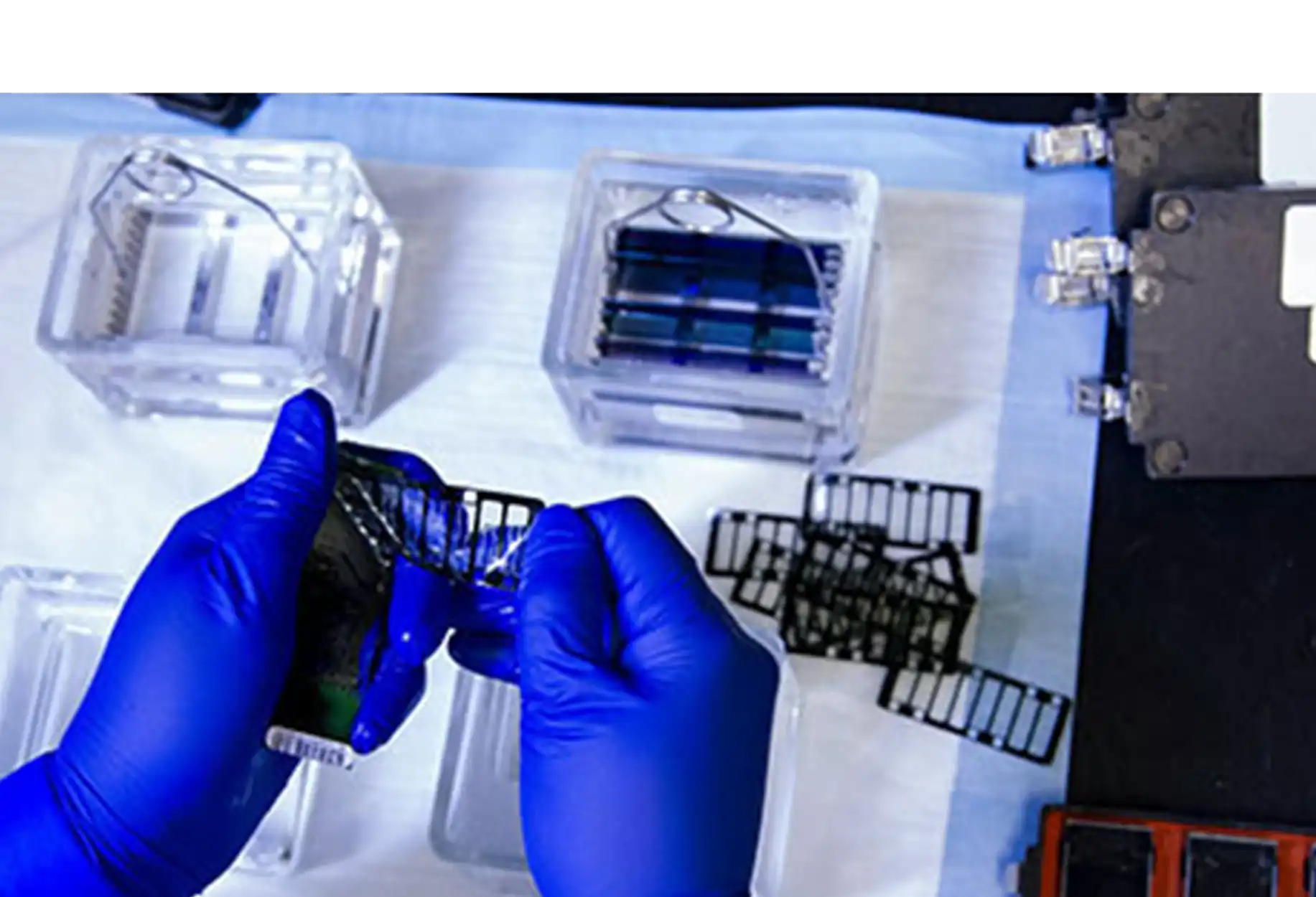 B2i Digital Featured Company_Allarity Therapeutics Inc_Nasdaq ALLR_Oncology