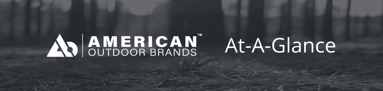 American-Outdoor-Brands-Summary-B2i-Digital