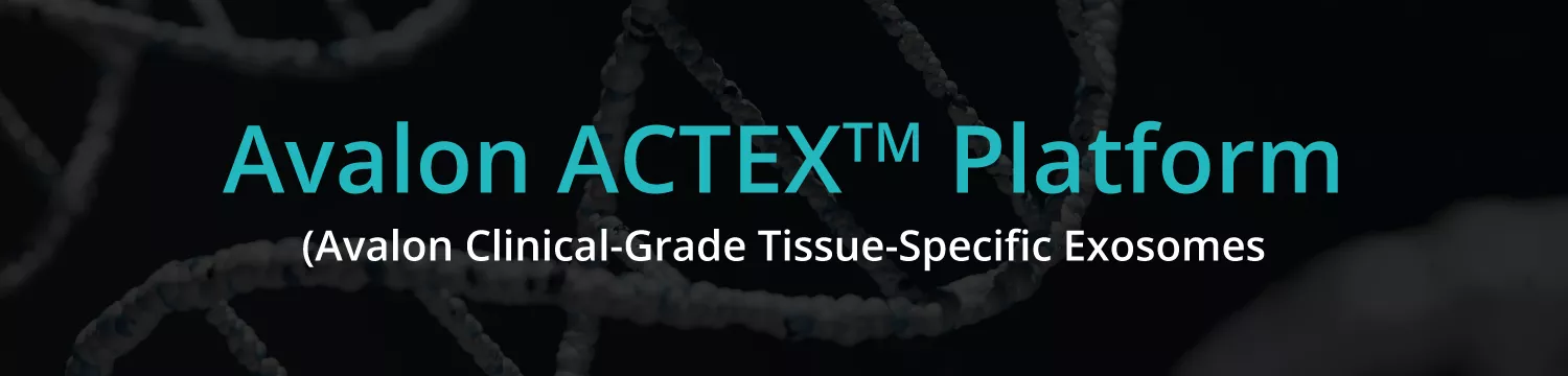 featured-banners-avalon-actex-1