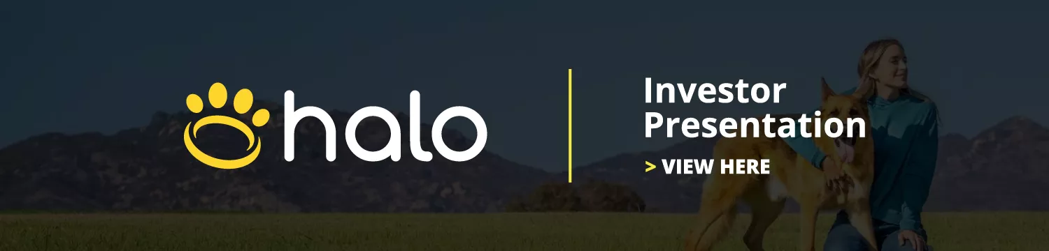 Halo-Collar-Investor-Presentation-B2i-Digital