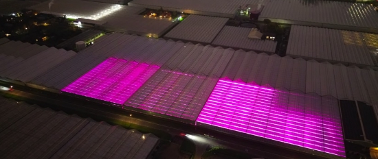 Cannot view this image? Visit: https://images.newsfilecorp.com/files/7294/191822_figure1_550.jpg