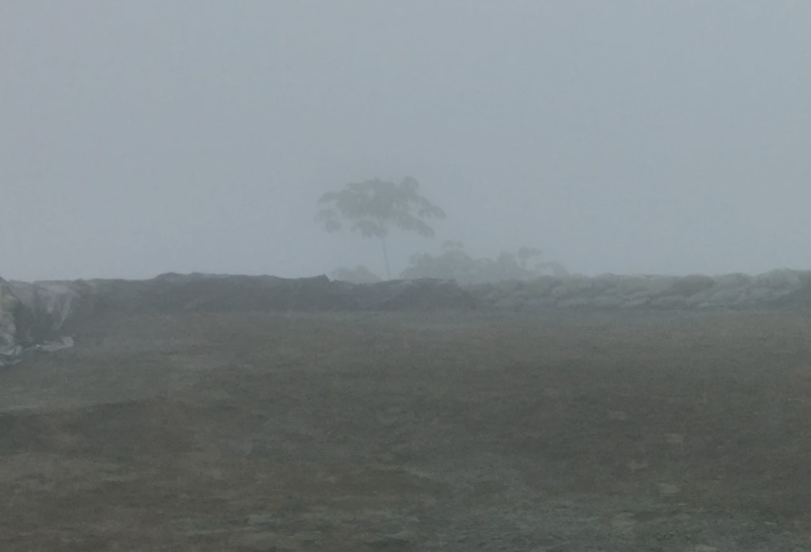 BacTech Environmental Corporation (OTCQB: BCCEF | CSE: BAC)