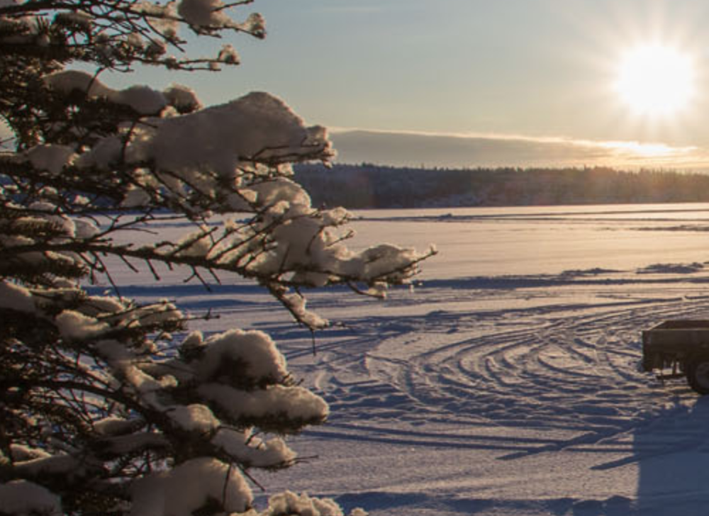 Gold Terra Resource Corp. (OTCQB: YGTFF | TSXV: YGT)