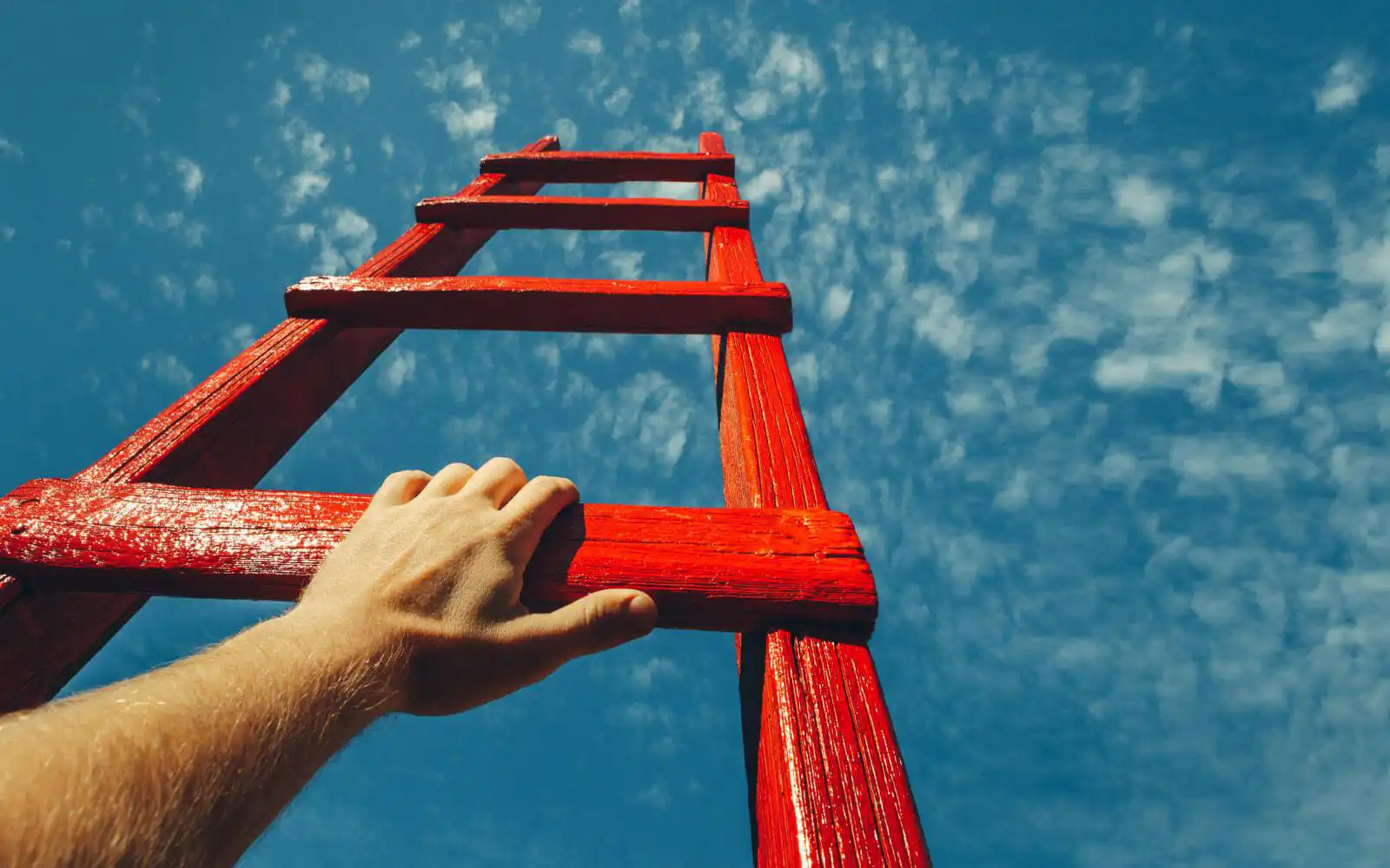 Lucosky Brookman img copy