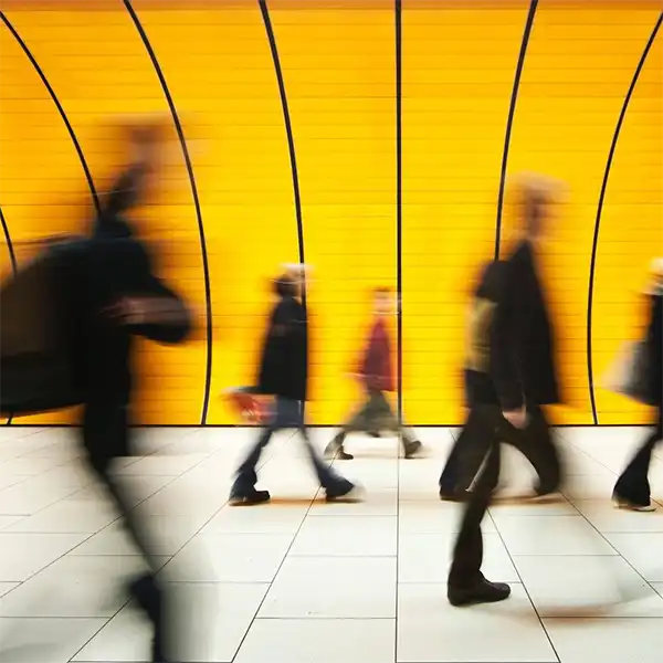 Stradling Yocca Carlson & Rauth LLP image