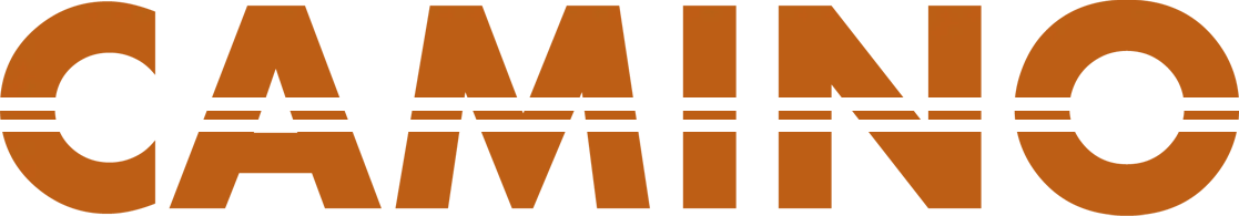Camino Corp logo copy