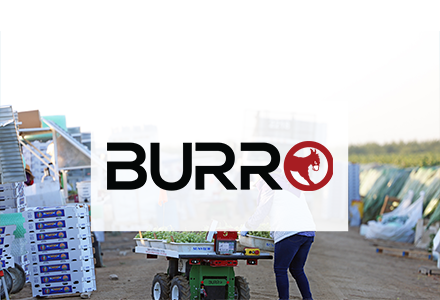 burro-Roth-tile