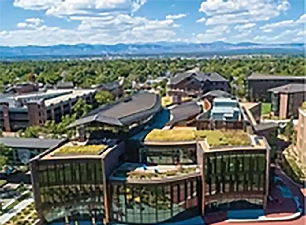 NGO Sustainability inc img