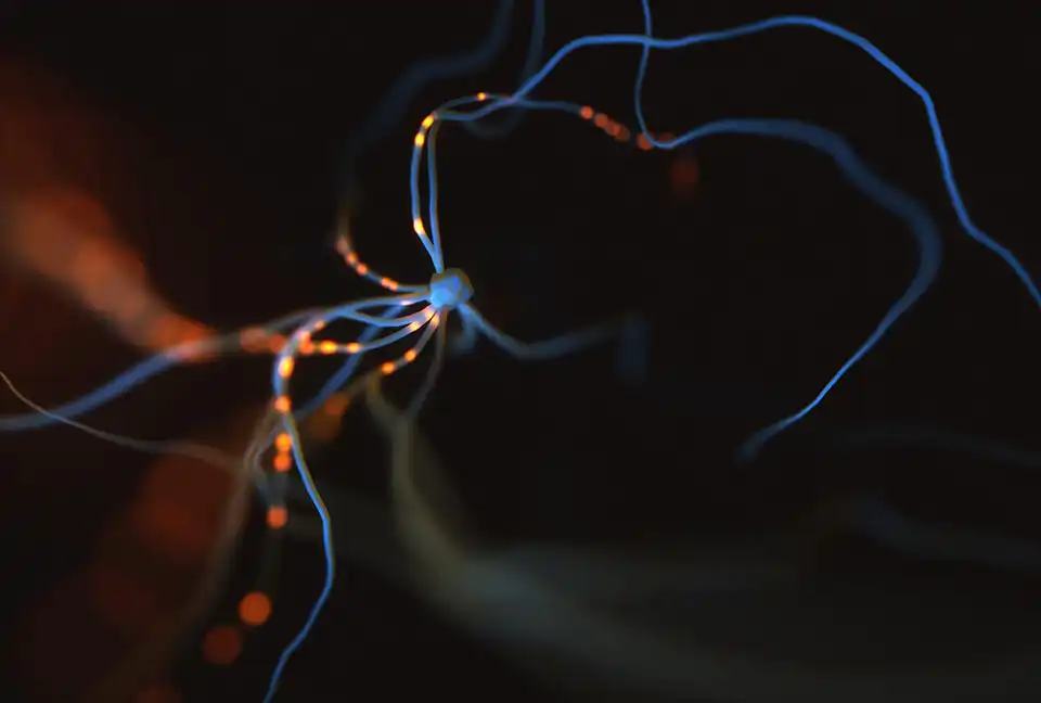 Newron Pharmaceuticals S.p.A. (XSWX NWRN) img copy